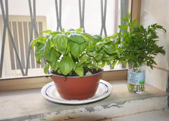 Holiday home La Timpa House